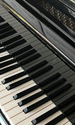 Grand Reflections Keyboard  Photograph by Catherine Ludwig Donleycott