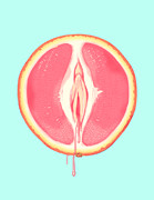 Grapefruit Drawing by Ludwig Van Bacon