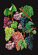 Grapes digital collage Digital Art by Johanna Virtanen