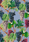 Grapevine pattern Digital Art by Johanna Virtanen