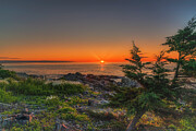 Grateful Photograph by Penny Polakoff