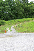 Gravel Driveway Going Uphill Photograph by Bentley Davis Gravel Driveway Going Uphill Photograph by Bentley Davis
