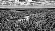 Gray Scale Outdoors Pinelands Photograph by Louis Dallara Gray Scale Outdoors Pinelands Photograph by Louis Dallara