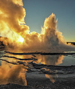 Great Fountain Geyser Vertical Photograph by Jenny Golding