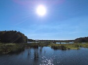 Green Cay Wetlands 3 Photograph by David McKinney Green Cay Wetlands 3 Photograph by David McKinney