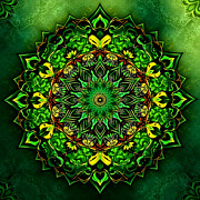 Green Collidescope Digital Art by Steve Mitchell Green Collidescope Digital Art by Steve Mitchell