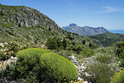 Green mountain landscape near the Mediterranean coast Photograph by Adriana Mueller