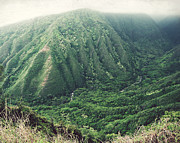 Green Valley Photograph by Lupen Grainne