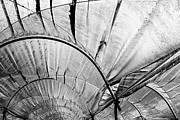 Greenhouse Lines Photograph by Maria Meester