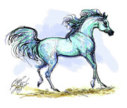 Grey Arabian Stallion Watercolor by Stacey Mayer Digital Art by Stacey Mayer Grey Arabian Stallion Watercolor by Stacey Mayer Digital Art by Stacey Mayer