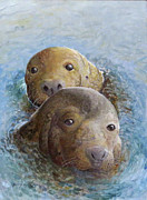 Grey Seals Painting by Barry Kent MacKay
