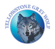 Grey Wolf Digital Art by Gary Grayson