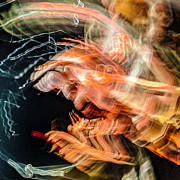 Griffin Strike Photograph by Chris Rhoads Griffin Strike Photograph by Chris Rhoads