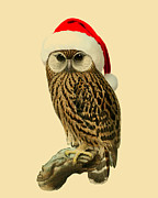 Grow Merry Little Owl Digital Art by Madame Memento