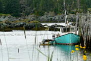 Gull Cove Photograph by Dominique Lecomte