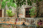 Hacienda Ochil Wall Photograph by William Scott Koenig Hacienda Ochil Wall Photograph by William Scott Koenig