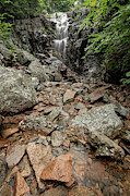 Hadlock Falls in Acadia National Park Photograph by Craig Shaknis