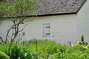 Hamilton Plantation Slave Cabin St. Simons Island Photograph by Bruce Gourley