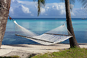 Hammock on Rangiroa Photograph by Diane Macdonald