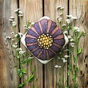 Hand Painted Daisy Fleabane Sourdough 2 Photograph by Amy E Fraser Hand Painted Daisy Fleabane Sourdough 2 Photograph by Amy E Fraser