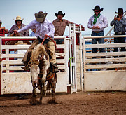 Hanging on Bronc Riding Photograph by Kelly Markus