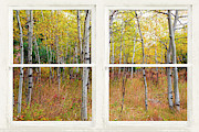 Happy Forest Rustic Window View Photograph by James BO Insogna