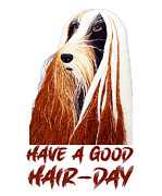  Happy Hair-Day, Afghan Hound Digital Art by Lena Owens