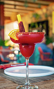 Happy Hour Photograph by William Scott Koenig