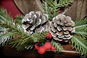 Happy Merry Photograph by Roberta Byram