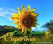 Happy Sunflower Photograph by Esoteric Gardens KN