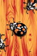 Harlequin Lady Beetles Digital Art by Angrulla MF