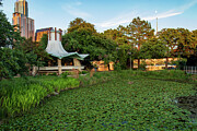 Town Lake Gazebo, Austin Texas on the south shore of Lady Bird Lake beside Auditorium Shores Photograph by Brigitte Blanchette Thompson Town Lake Gazebo, Austin Texas on the south shore of Lady Bird Lake beside Auditorium Shores Photograph by Brigitte Blanchette Thompson