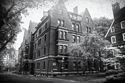 Harvard Yard Cambridge Massachusetts Black and White  Photograph by Carol Japp