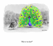 Hat or no Hat? Drawing by Emily Bernstein
