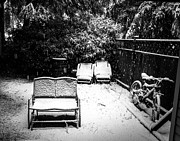 Have a Seat Photograph by JJ Whitley Have a Seat Photograph by JJ Whitley