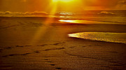 Hawaiian Golden Shores Photograph by Debra Banks