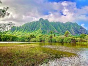 Hawaiian Mountains Over Waters of Story Photograph by Carol Riddle