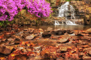 Hawk Falls PA Photograph by Susan Candelario Hawk Falls PA Photograph by Susan Candelario