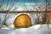 Hay bale forgotten in the snow Photograph by Dejan Travica
