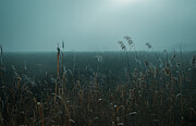 Haze Photograph by Marinko Shlakeski