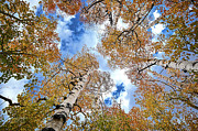 Heaven Bound Photograph by Dave Diegelman Heaven Bound Photograph by Dave Diegelman