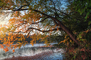 Here comes the autumn on the small lake Photograph by Dejan Travica