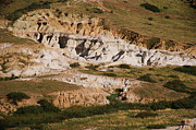 Here Is a Hint Photograph by Ana V Ramirez Here Is a Hint Photograph by Ana V Ramirez