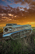 Here To Stay  Photograph by Aaron J Groen