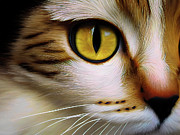 Here's Looking At You Ai Art by AI Digital