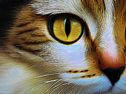 Here's Looking Expressly At You Ai Art by AI Digital Here's Looking Expressly At You Ai Art by AI Digital