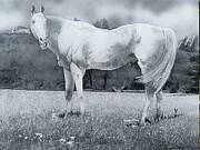 Hi Ho Silver Drawing by Benjamin Ragland Hi Ho Silver Drawing by Benjamin Ragland