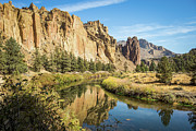 Hidden Gem Photograph by Diane Moller