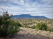 High Desert Morning New Mexico Photograph by Mary Lee Dereske