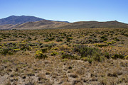 High Desert Photograph by Ron Roberts High Desert Photograph by Ron Roberts